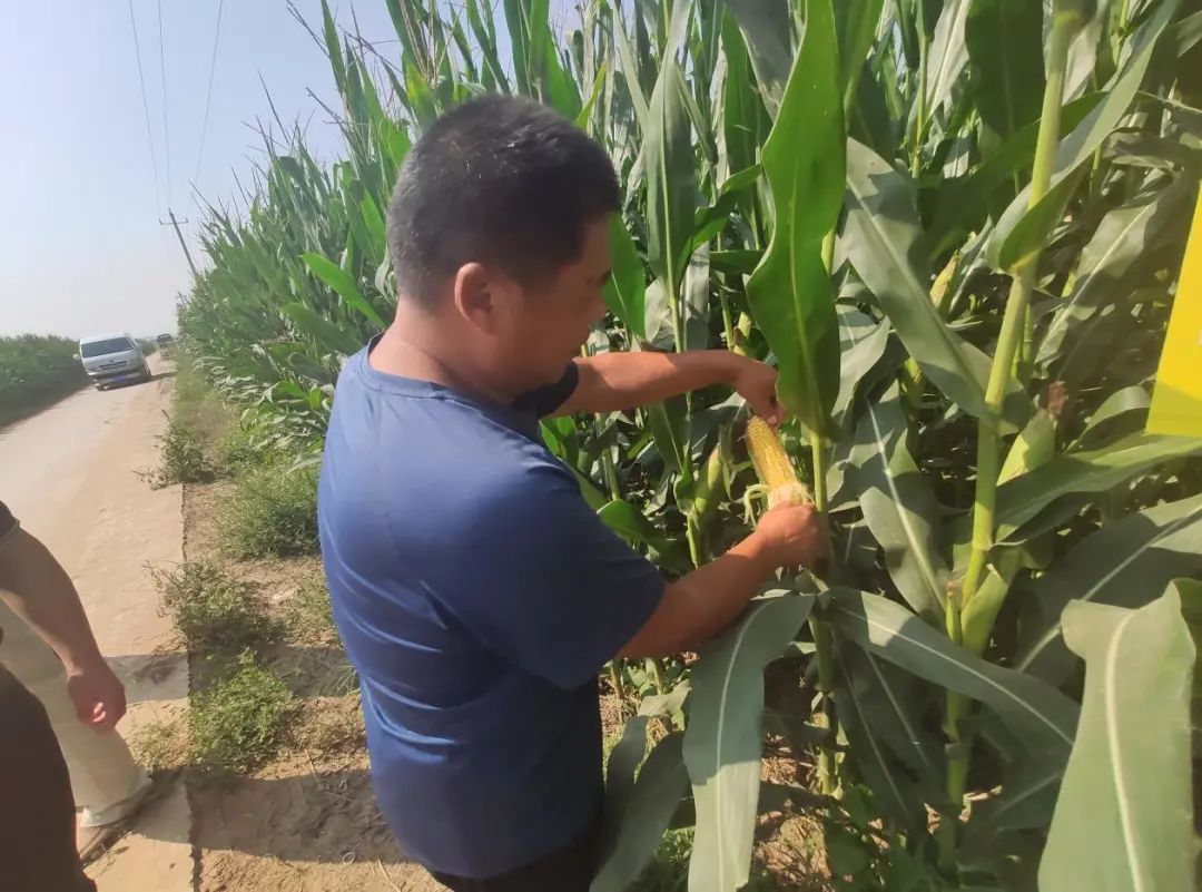 1599620065490452.jpg 圖片關鍵詞