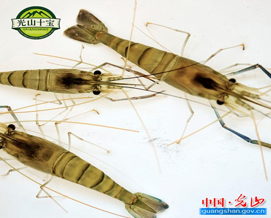 1606359225351943.png blob.png